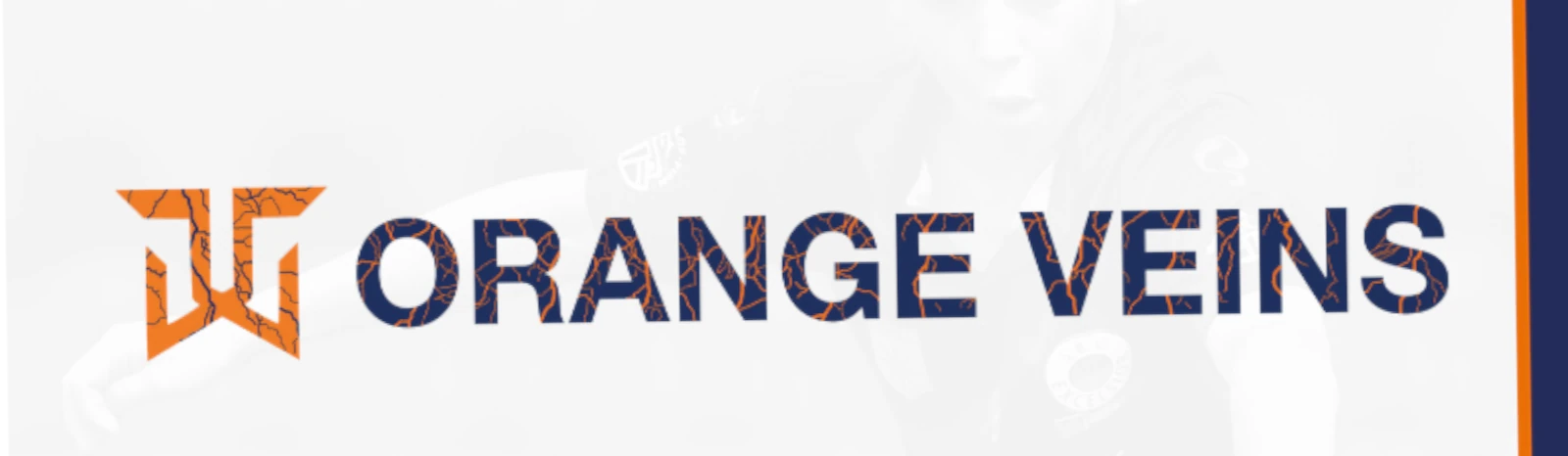 Banner - Orange Veins  - Breda