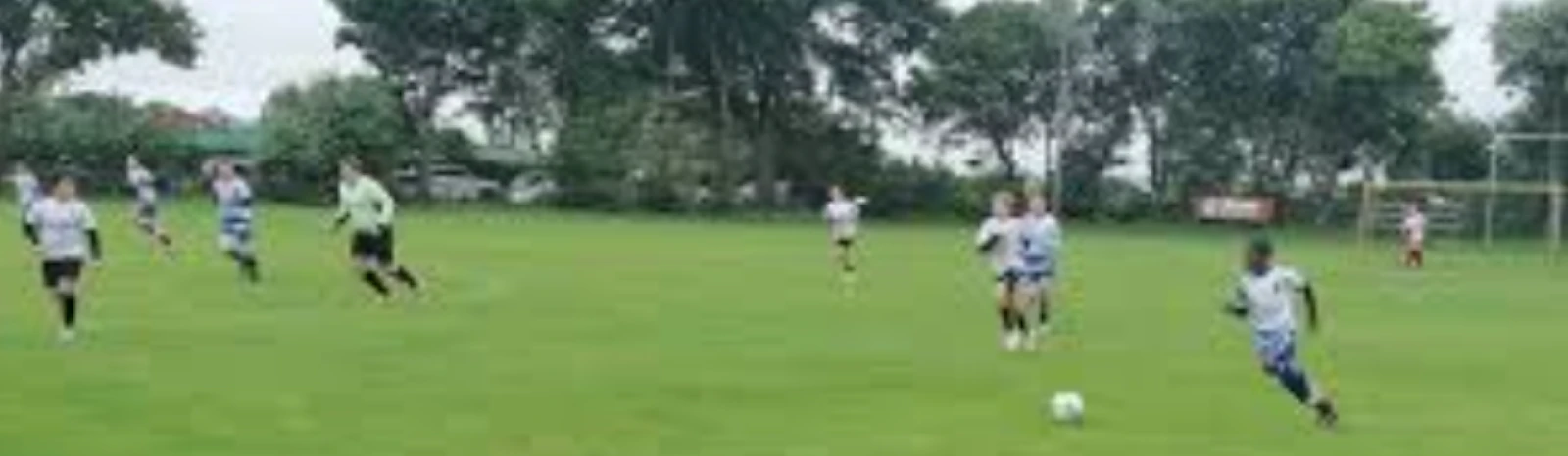 Bannière - ASV Faßberg e.V. - Faßberg