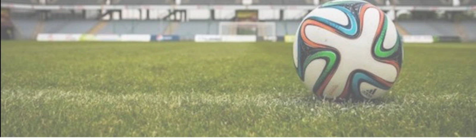 Banner - SV Blau-Gelb Elze e.V. - Wedemark