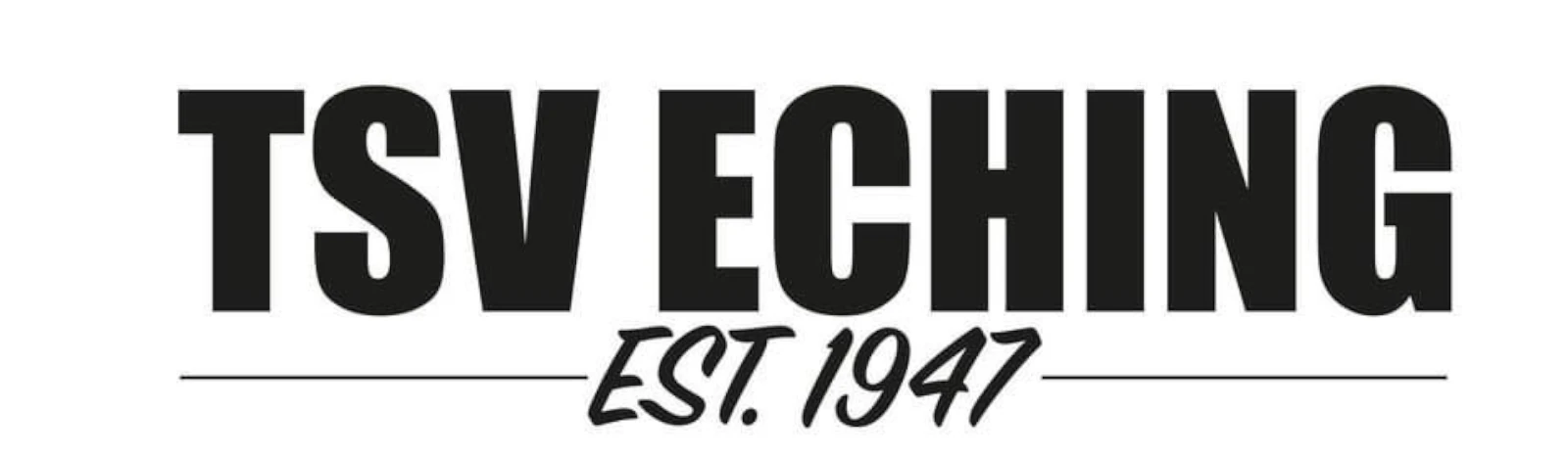 Banner - TSV Eching - Eching
