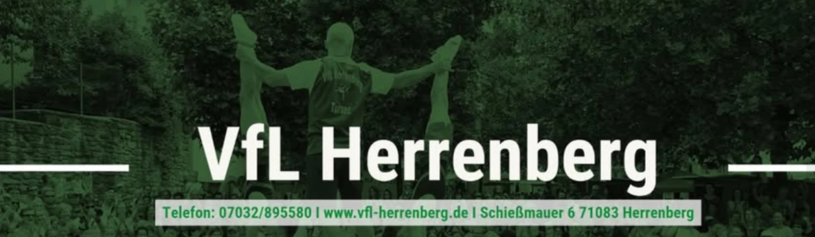 Banner - VfL Herrenberg - Herrenberg