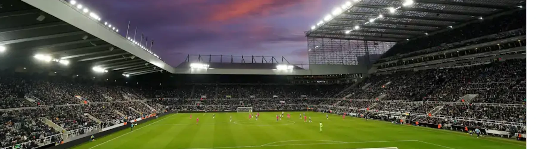 Banner - Förderverein FC Arminia 03 - Ludwigshafen am Rhein