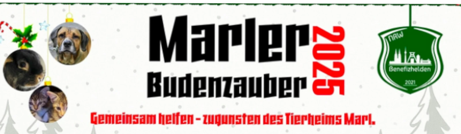 Banner - Benefizhelden-NRW Hallenturnier - Benefizhelden NRW - Dülmen