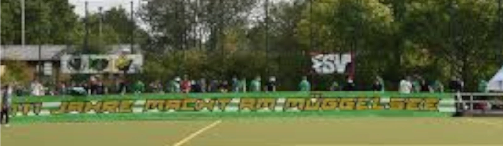 Banner - Friedrichshagener SV - Berlin