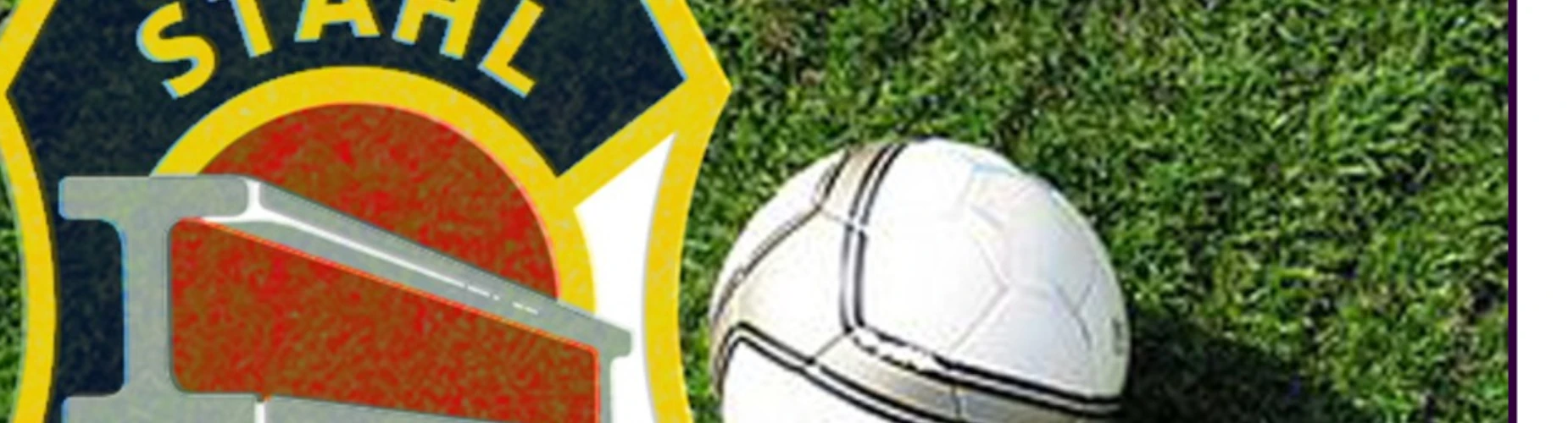 Banner - BSG Stahl Riesa - Riesa