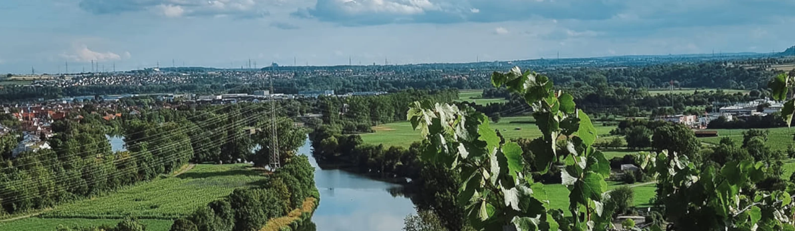 Banner - FV Ingersheim - Ingersheim
