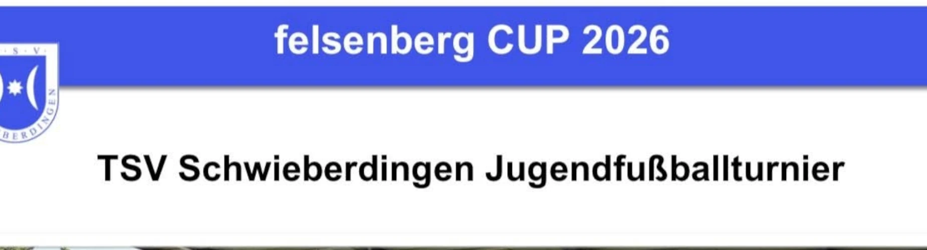 Bannière - TSV Schwieberdingen - Schwieberdingen